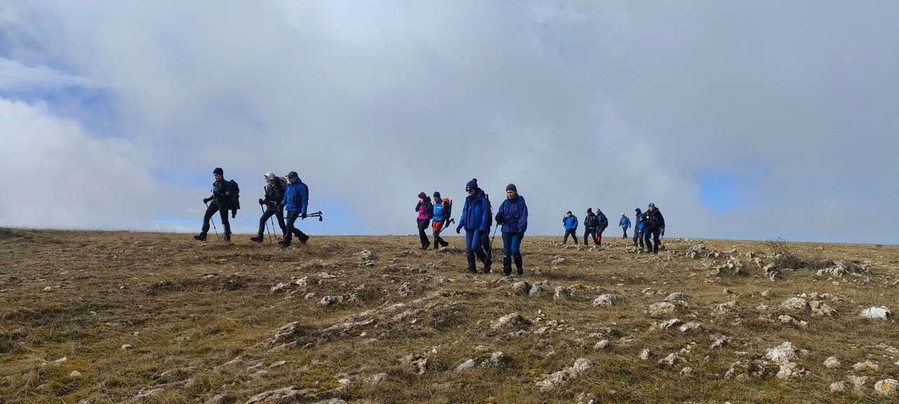 WhatsApp Image 2026-02-10 at 14.47.46